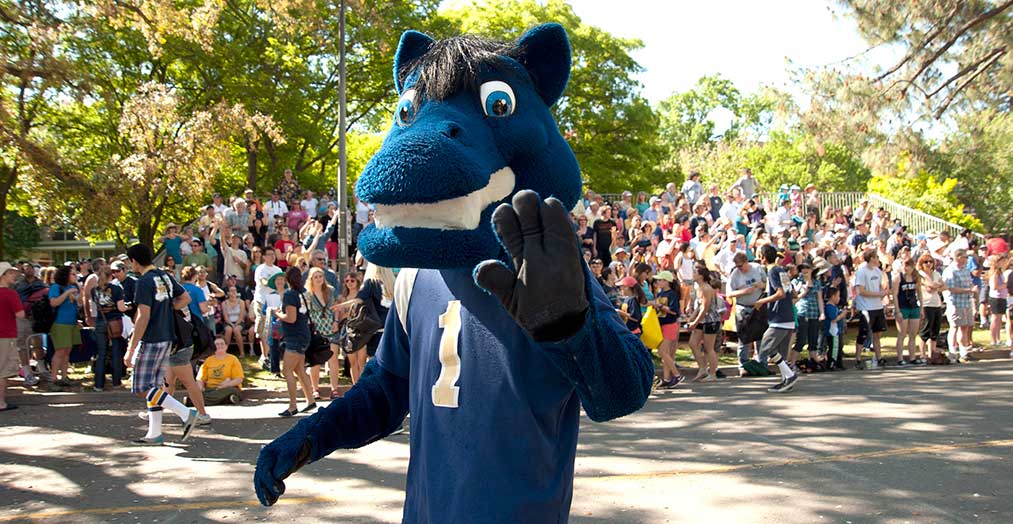 Gunrock mascot in the Picnic Day parade